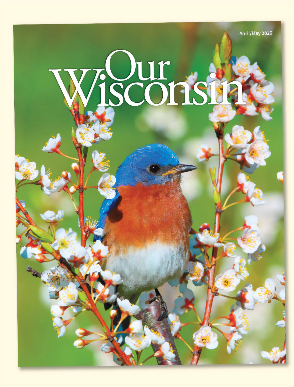 Home | Our Wisconsin Magazine